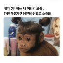 진싸몰 | 연애라는건… 언제 안싸울 수 있는거죠?