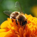 도울부동산공인중개사사무소 이미지