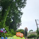 수정산가족체육공원 | [부산 동구] 수정산 가족체육공원