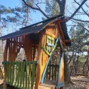 대구대비호동산 경산아이랑숲 즐기기 좋은곳
