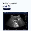 금촌종합동물병원