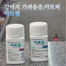 청주가장큰약국 이미지