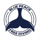 프리랑 | 구미 블루피스 프리다이빙 패스나인 다이빙풀 수업 후기