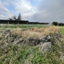 상예동-6 이미지