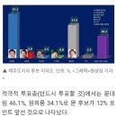 제주도지사 여론조사 이미지