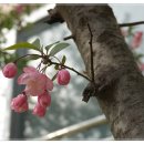 남동국민체육센터 이미지