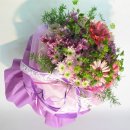 정선풍경 이미지