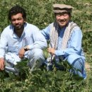 김우정농장 이미지