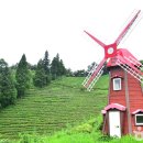 보성다원녹차 판매장 이미지