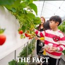 향아농원 이미지
