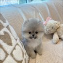 멜로디펍스 이미지