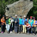 자연그리 이미지