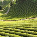 햇살 좋은날 이미지