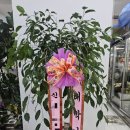 에프에이치 이미지