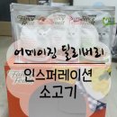 피스트 PC | 팬시피스트 ▒ 어메이징 딜리버리 " 인스퍼레이션 - 소고기, 애호박 &amp; 토마토 " 체험후기