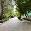 [Place. 케이크] 두세르 / 분당 미금 (넘나 유명한 케이크집! 예약, 줄서는 법, 조각 케이크 오픈런)
