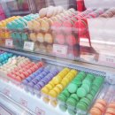 쉬크레마카롱영남대점 이미지