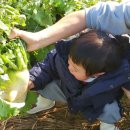 달란트어린이집 이미지