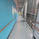 연세대학교 재활학교 이미지