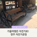 영주시 한정교 공공자전거무인대여소 | <경북가을여행 / 영주자전거대여소 / 무료자전거대여> 가을여행은 자전거로! 영주 자전거공원