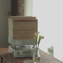 자담하우스 | 편백나무 찜기 닥터하우스 자담 2단 풀세트 50% 할인