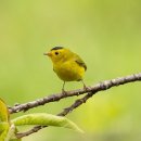 골프존파크 광교 광교역점 이미지