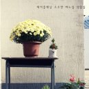 제이작업실