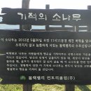블랙밸리CC_1박2일의 유쾌한 라운드_2