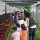 꿈꽃어린이집 이미지