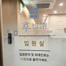 부산교통사고입원 1인실에서 추나요법 포함 치료 꼼꼼하게 받고온 후기