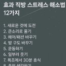 효과 직방 이미지