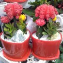 팔도화원 이미지