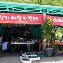 해바라기-청춘(2) 네이버블로그