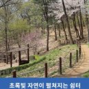 용인아이숲유아숲체험원 이미지