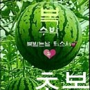 대교삼계탕