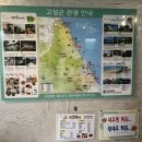 치킨피아&찜닭