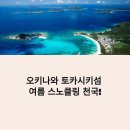 섬 | 오키나와 토카시키섬 스노클링 후기｜2025 여름휴가 추천! 바다거북 투어 꿀팁 총정리