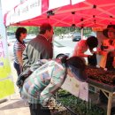 전국야생화전시회 이미지