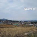 숲속의 통나무집 이미지