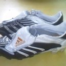 엡솔루트 이미지