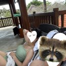 [후기] 림바 바이 아야나 발리 &#34;길리 겟어웨이, 수영장, 그랩 배달, 조식, 체크아웃 후 시간 보내기...