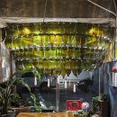 이현시장 이미지