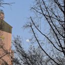 피자스쿨화서점 이미지