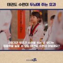강호태권도 이미지