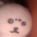 25.03 - 속초, 양양