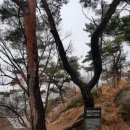 순리대로 이미지