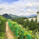 단양(부산)충전소/주유소 이미지