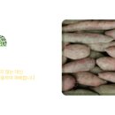 합심농장 이미지