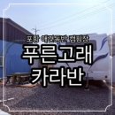 포항애견 | 울산 근교 포항 애견동반 숙소 푸른고래카라반 후기 바다뷰 가성비 숙소 추천