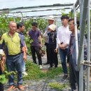 구미시농업기술센터 이미지